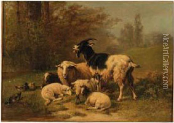 Sheep And Goats Resting On A Riverbank Oil Painting - Henri De Beul