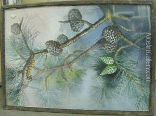 Pine Branches With Catapillar Oil Painting - Marian Ellis Rowan
