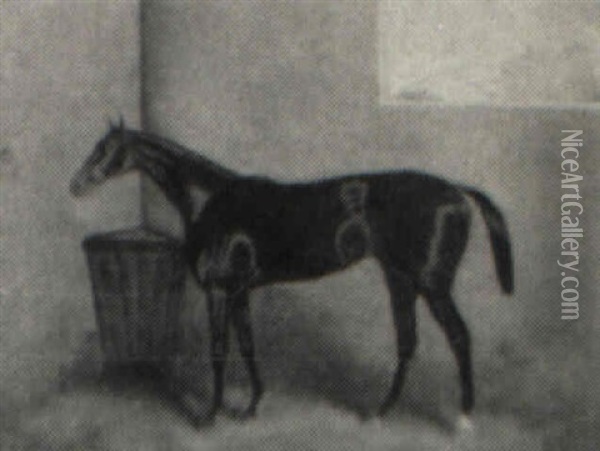 Racing Horse In A Stable Oil Painting - Sylvester Martin