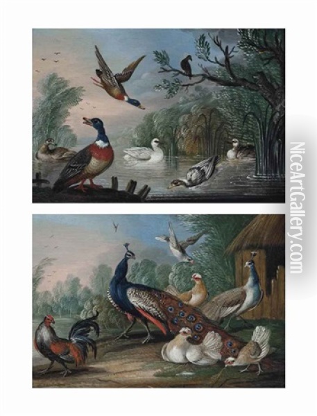 Mallard, A Swan And Geese By A Pond (+ Peacocks And Chickens Beside A Barn In A Landscape; Pair) Oil Painting - Marmaduke Cradock