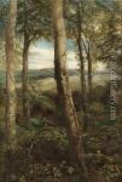 Springtime In The Green Wood Oil Painting - John MacWhirter