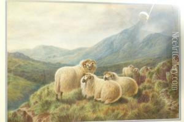 Horned Mountain Sheep, Resting Oil Painting - William Perring Hollyer