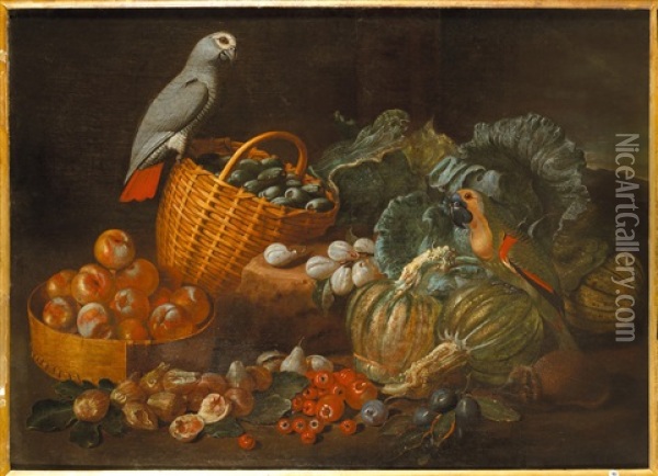 Bodegon Con Papagayos Oil Painting - Melchior de Hondecoeter