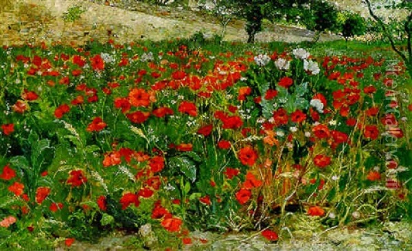 Field Of Poppies Oil Painting - Julius Rolshoven