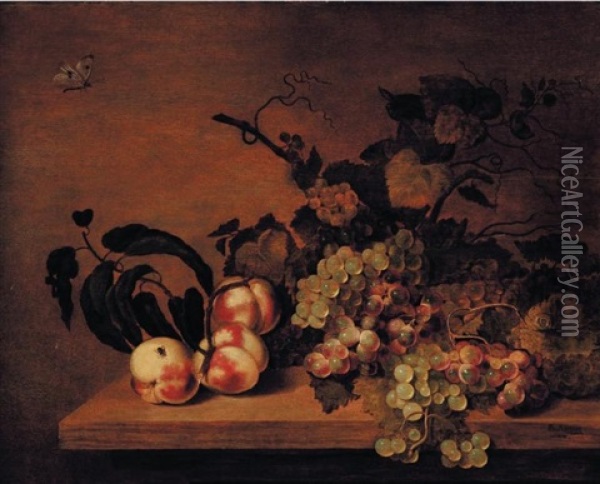 Nature Morte Aux Peches, Raisins Et Papillons Oil Painting - Bartholomeus Assteyn