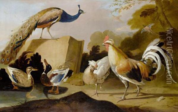 Peacock, Ducks And Chickens In An Open Landscape Oil Painting - Melchior de Hondecoeter