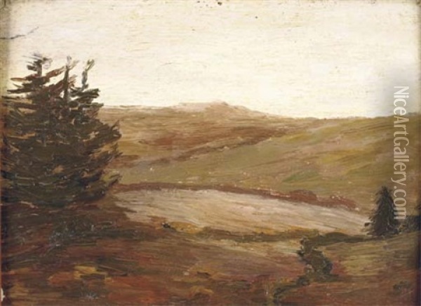 Paysage Au Sapin Oil Painting - Joseph Melchior Carron