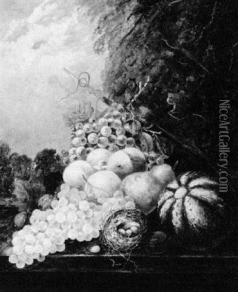 Still Life With Fruit On A Ledge Oil Painting - Thomas Whittle the Elder