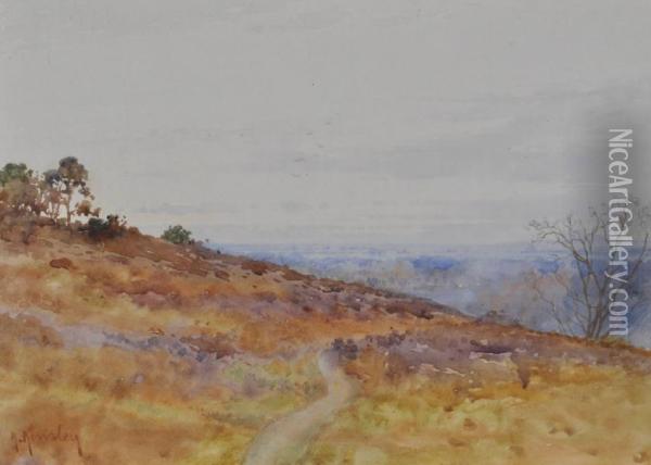 Sandhills, Surrey Oil Painting - Albert Kinsley