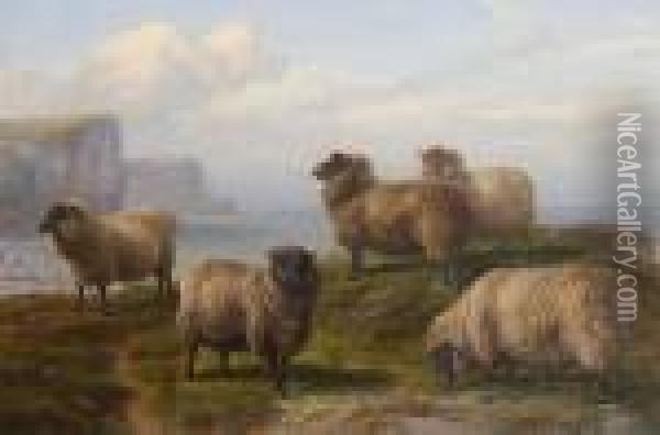 Sheep Grazing On A Cliff Top By The Sea Oil Painting - Charles Jones