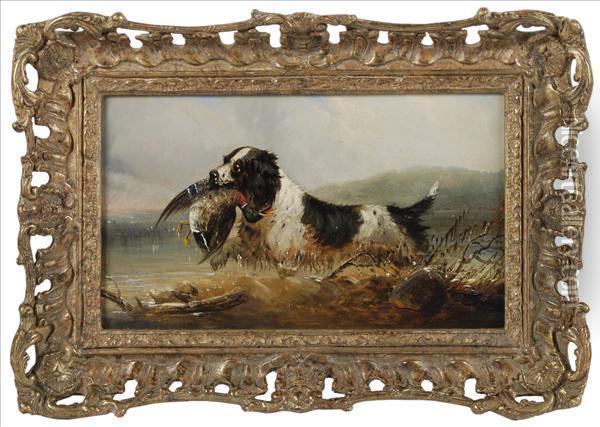 A Spaniel With Retrieved Mallard Oil Painting - Mark W. Langlois