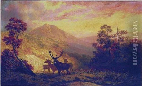 Elk In A Clearing With Mountains In The Distance Oil Painting - Arthur Fitzwilliam Tait