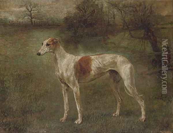 A prize greyhound in a landscape Oil Painting - Arthur Wardle