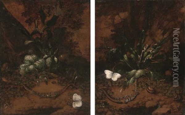 A Forest Floor Still Life With Snakes And A Butterfly (+ A Forest Floor Still Life With Snakes, Snails And Butterflies; Pair) Oil Painting - Otto Marseus van Schrieck