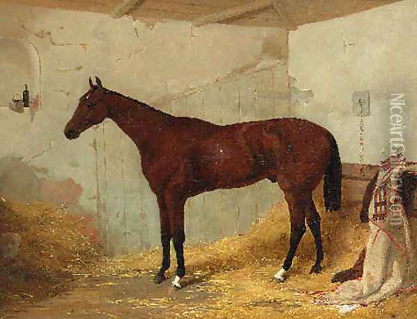 A Bay Racehorse in a Stable Oil Painting - Harry Hall