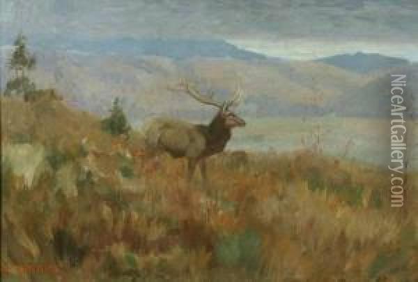 The Elk In A Western Landscape Oil Painting - Edwin Willard Deming