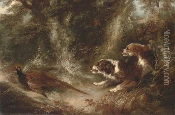 Two Spaniels With A Pheasant Oil Painting - George Armfield