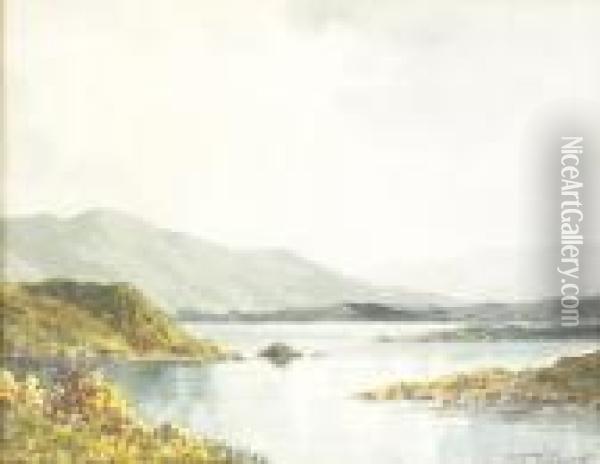 An Inlet On Lough Corrib Oil Painting - Douglas Alexander