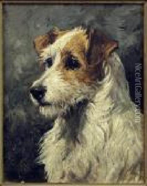 Terrier's Head Oil Painting - John Emms