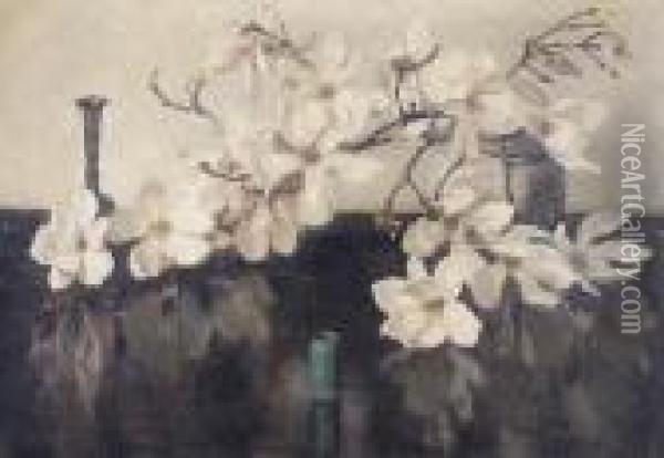 Magnolia Oil Painting - Frans David Oerder