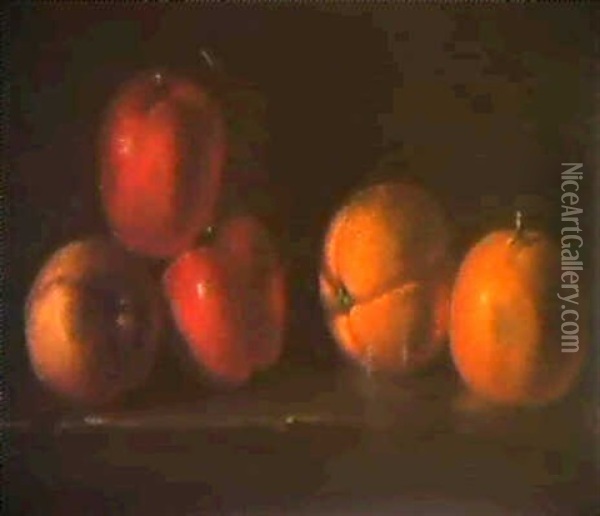 Une Nature Morte Aux Oranges Oil Painting - Jacques Charles Oudry