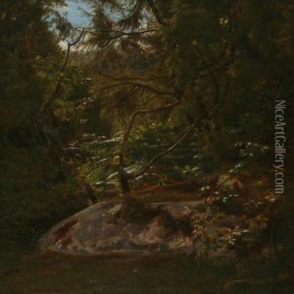 Forest Scene Frombornholm Island, Denmark Oil Painting - August Heinrich Schiott