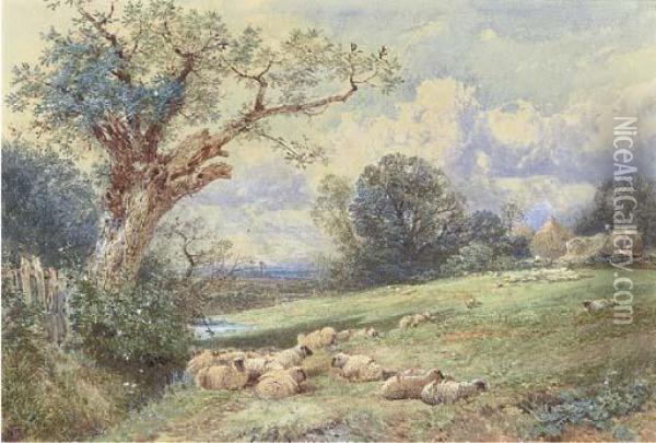 Sheep Resting Beneath A Tree, With Harvesters Beyond Oil Painting - Myles Birket Foster