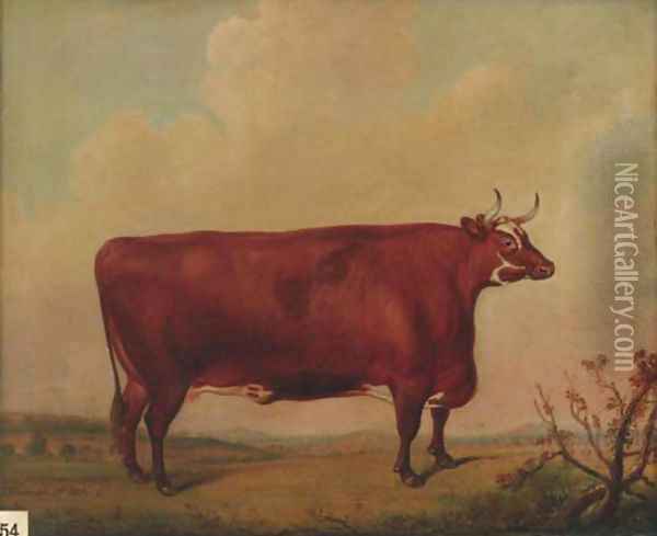 A horned Herefordshire cow Oil Painting - Thomas Weaver