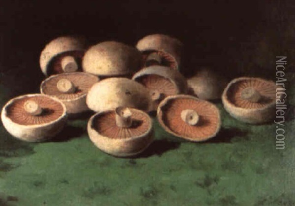 Mushrooms Oil Painting - Carducius Plantagenet Ream
