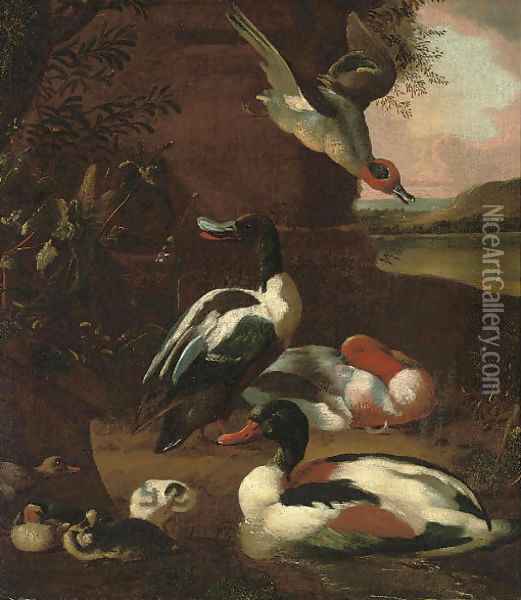 Wooded river landscape with muscovy ducks in the foreground Oil Painting - Melchior de Hondecoeter