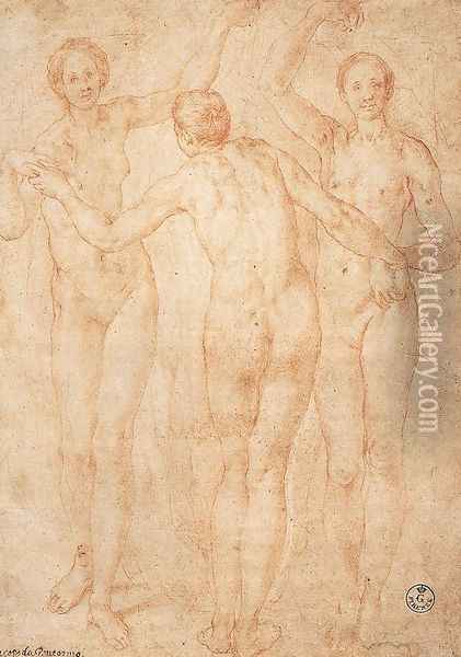Three Graces c. 1535 Oil Painting - (Jacopo Carucci) Pontormo