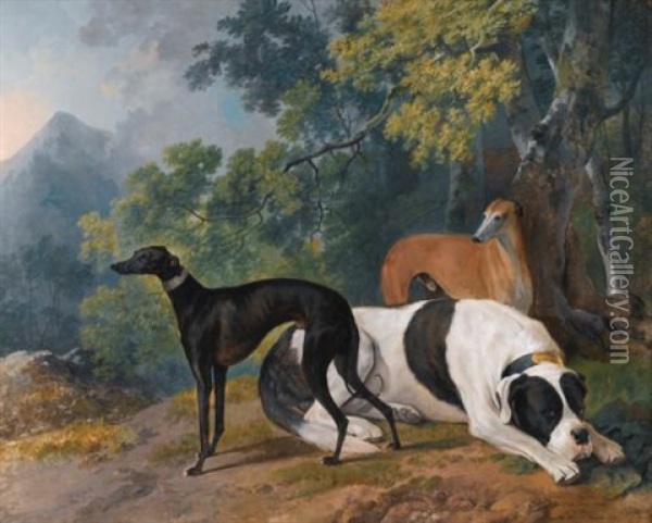 Two Greyhounds And A Mastif Belonging To The Duke Of Hamilton Oil Painting - Sawrey Gilpin