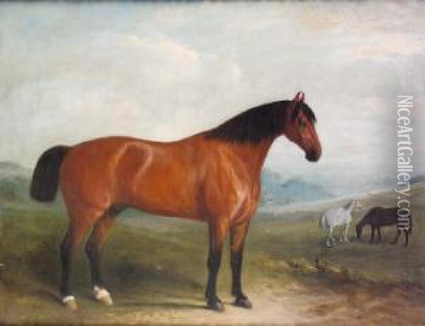 Portrait Of A Bay Hunter In 
Extensive Landscape With Grey And Chestnut Horses In The Middle Ground Oil Painting - John Jnr. Ferneley
