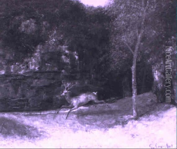 Cerf Courant Sous Bois Oil Painting - Gustave Courbet
