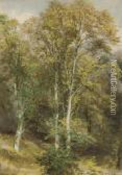 Two Woodland Scenes (one Illustrated) Oil Painting - Waller Hugh Paton