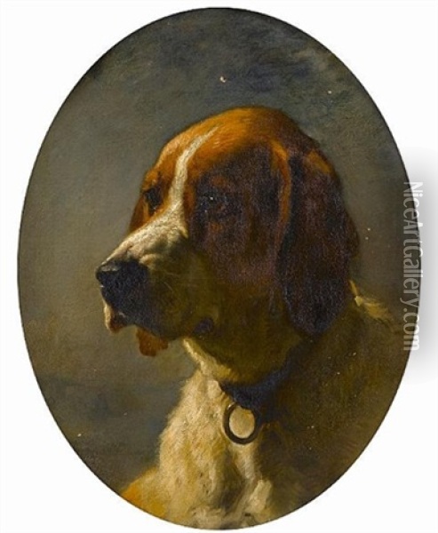 Study Of The Head Of A Hound Oil Painting - George Earl