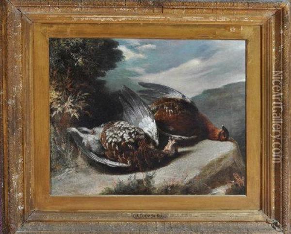 A Study Of Dead Grouse Oil Painting - Abraham Cooper