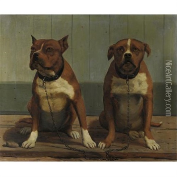 Two English Bulldogs Oil Painting - William Blair Bruce