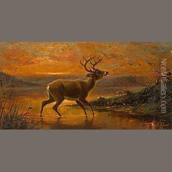 Ten Point Buck At Evening Twilight Oil Painting - Arthur Fitzwilliam Tait