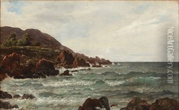 Coastal Scene From Kullen Oil Painting - Peter (Johann P.) Raadsig