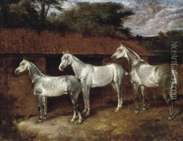 Three Good Greys Oil Painting - James Thomas Wheeler