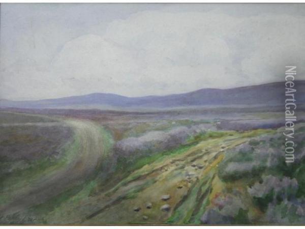 Fallcarragh, Co. Donegal Oil Painting - William Percy French