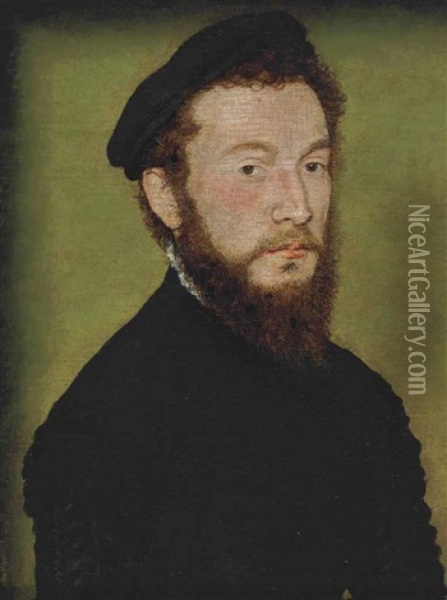 Portrait Of A Bearded Man Oil Painting -  Corneille de Lyon