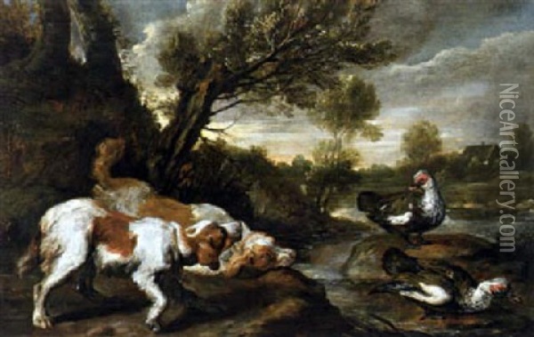 Jagdhunde Und Wildenten In Einer Fluslandschaft Oil Painting - Pieter Boel
