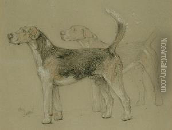 Study Of Hounds Oil Painting - Cecil Charles Aldin