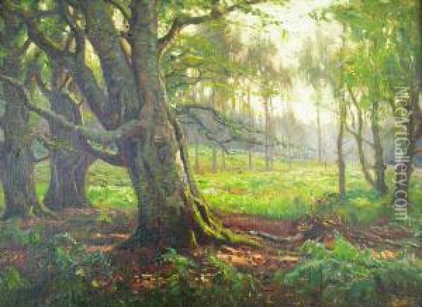 New Forest Scene In Summer Oil Painting - Frederik Golden Short