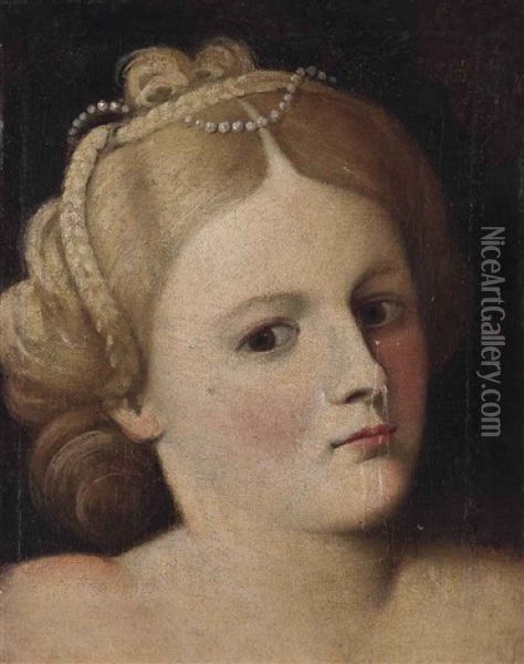 Portrait Of A Woman, Bust-length, With Pearls In Her Hair Oil Painting - Bernardino Licinio