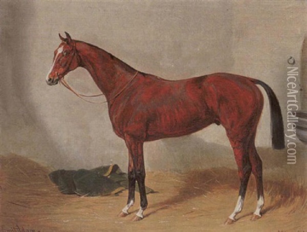 The Racehorse, 
