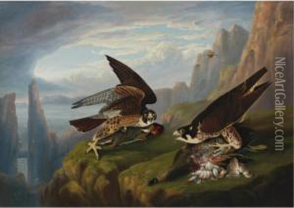 Peregrine Falcon (great-footed Hawk) Oil Painting - Robert Ii Havell