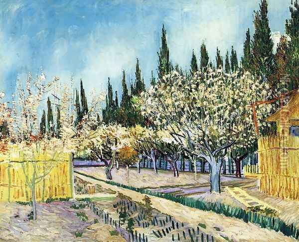 Orchard Surrounded by Cypresses Oil Painting - Vincent Van Gogh